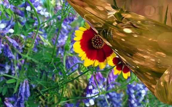 Can Yakan Sevda Turkuleri - 2017