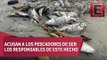 Aparecen cientos de peces muertos en playa de Boca del Río, Veracruz