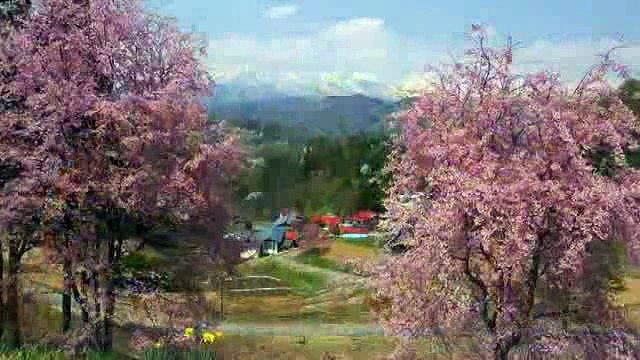 LỢI ÍCH CỦA VIỆC NGHE PHÁP VÀ LỜI PHÁT NGUYỆN.