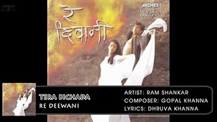 Tera Bichada | Re Deewani | Ram Shankar | Hindi Album Songs | Archies Music