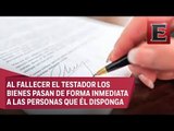 Punto y coma: Septiembre mes del testamento