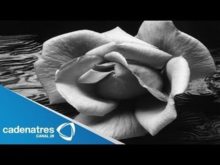 Triste día de las madres // Sad mothers day// famosas que perdieron a sus hijos