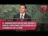 Peña Nieto pide en la ONU combatir el sargazo