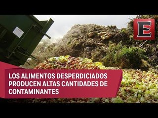 Cambio Climático: Impacto ambiental del desperdicio de alimentos