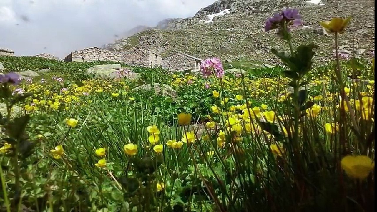 KÖYÜMÜZE DÖNELİM- SUPER ! - 2017