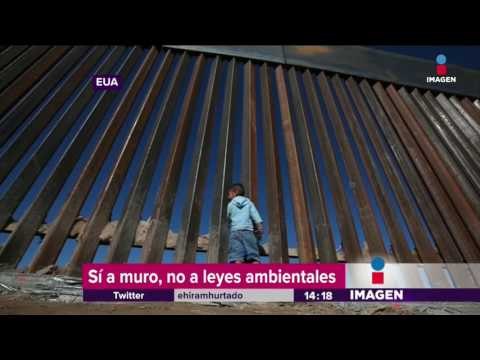 Eludirán leyes ambientales por muro de Trump | Noticias con Yuriria Sierra