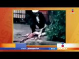 Desolla perros en plena calle en Edo. de Mex | Noticias con Francisco Zea