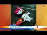 Matan y embolsan a dos perros pitbull | Noticias con Zea