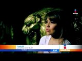 Thalía podría volver a la televisión | Noticias con Francisco Zea