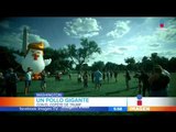 Gallina gigante frente a la Casa Blanca | Noticias con Francisco Zea