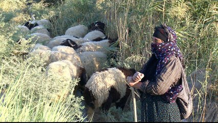 Iraqis suffer with no water or electricity after ISIL's defeat