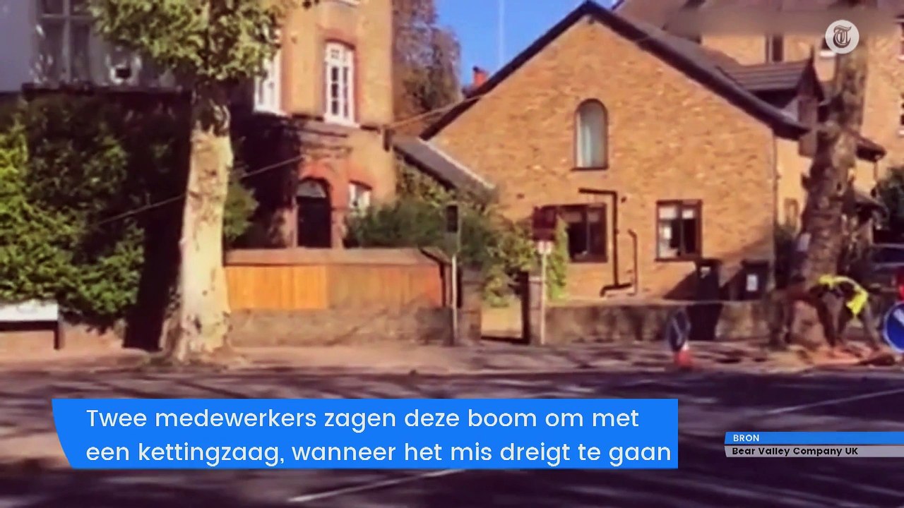 Deze fietser kijkt de dood in de ogen