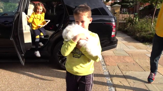 Разыграли Макса и засыпали всю комнату цветными кубиками на 9 миллионов подписчиков Мистер Макс