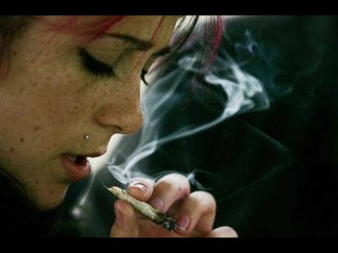 ¿Cuántas drogas se consumen en México? | Noticias con Francisco Zea