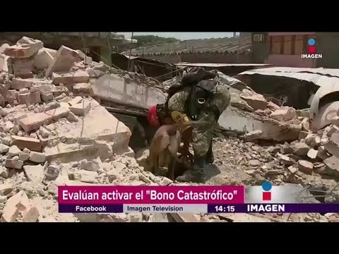 Evalúan activar Bono Catastrófico por sismo | Noticias con Yuriria Sierra