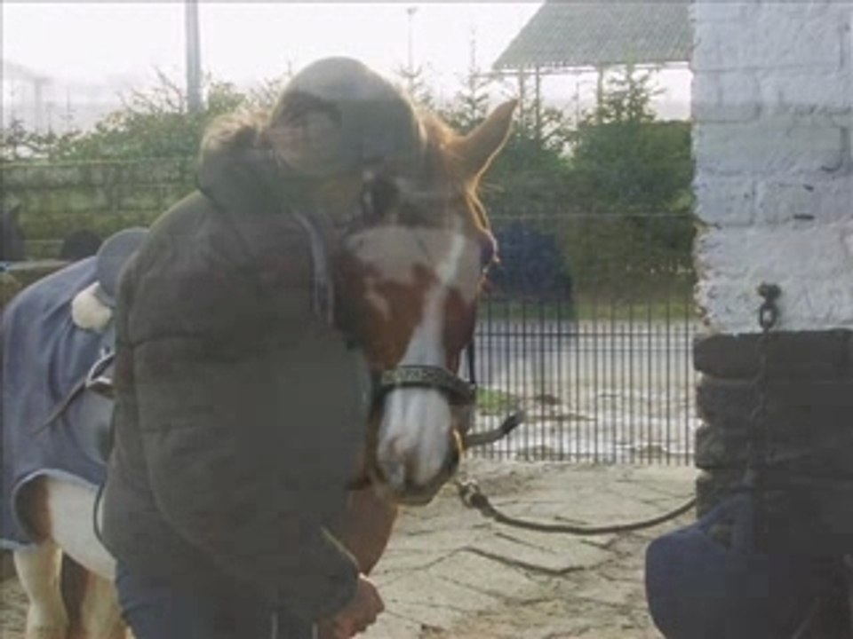 Video Magnum et Moi