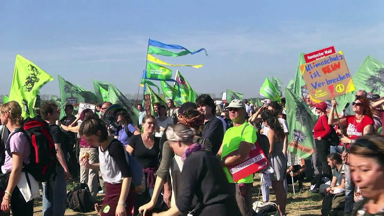 Festivalstimmung am hambacher forst: tausende feiern rodungsstop
