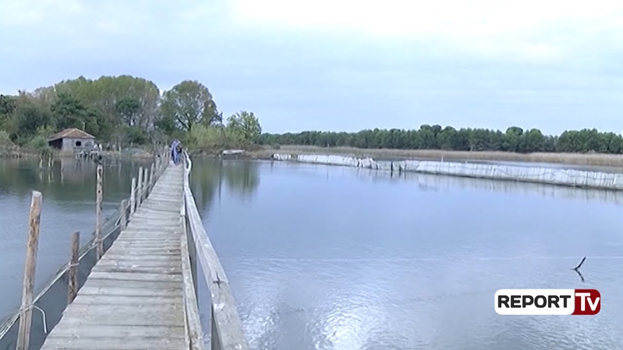laguna kune