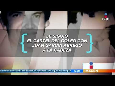 El origen de los cárteles de México ¿de dónde vienen? | Noticias con Francisco Zea