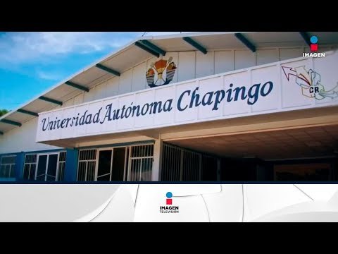 Crean Sistema Nacional de Semillas en Chapingo | Noticias con Yuriria Sierra