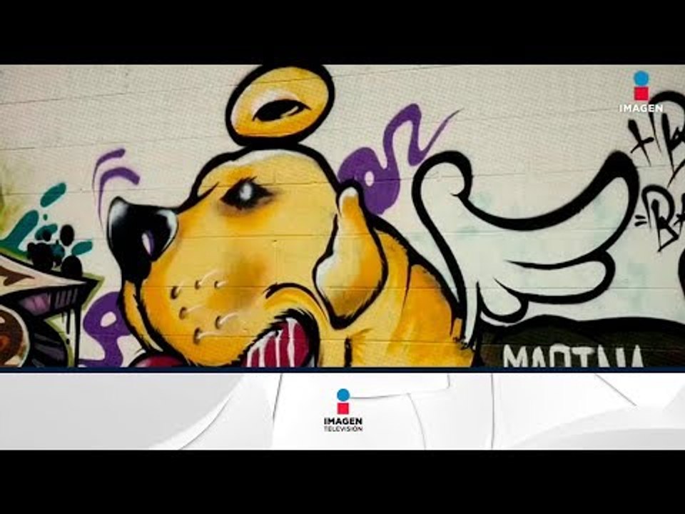 Levantan mural de la perrita Frida en Ciudad Ju...