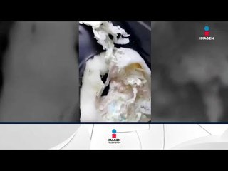 Mujer descubre desagradable relleno en su sillón | Qué Importa