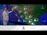 Entra a México nuevo frente frío número 6 | Noticias con Francisco Zea
