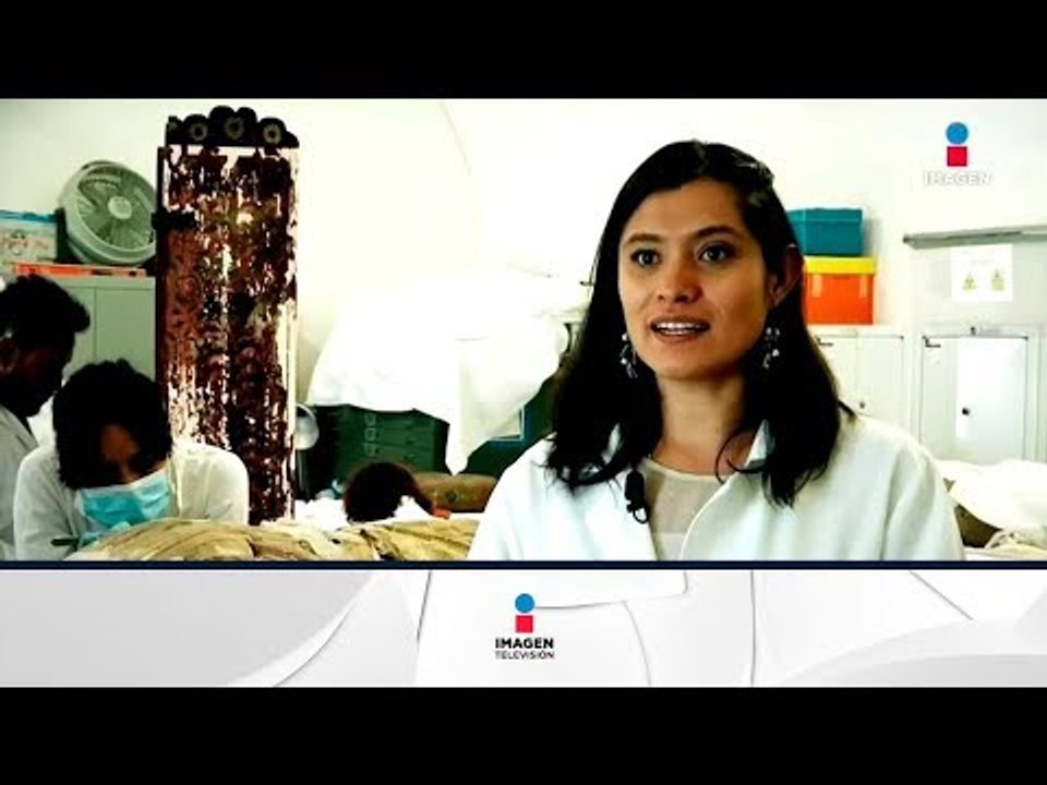 Rifada mexicana restaura el patrimonio histórico del país | Noticias con Francisco Zea