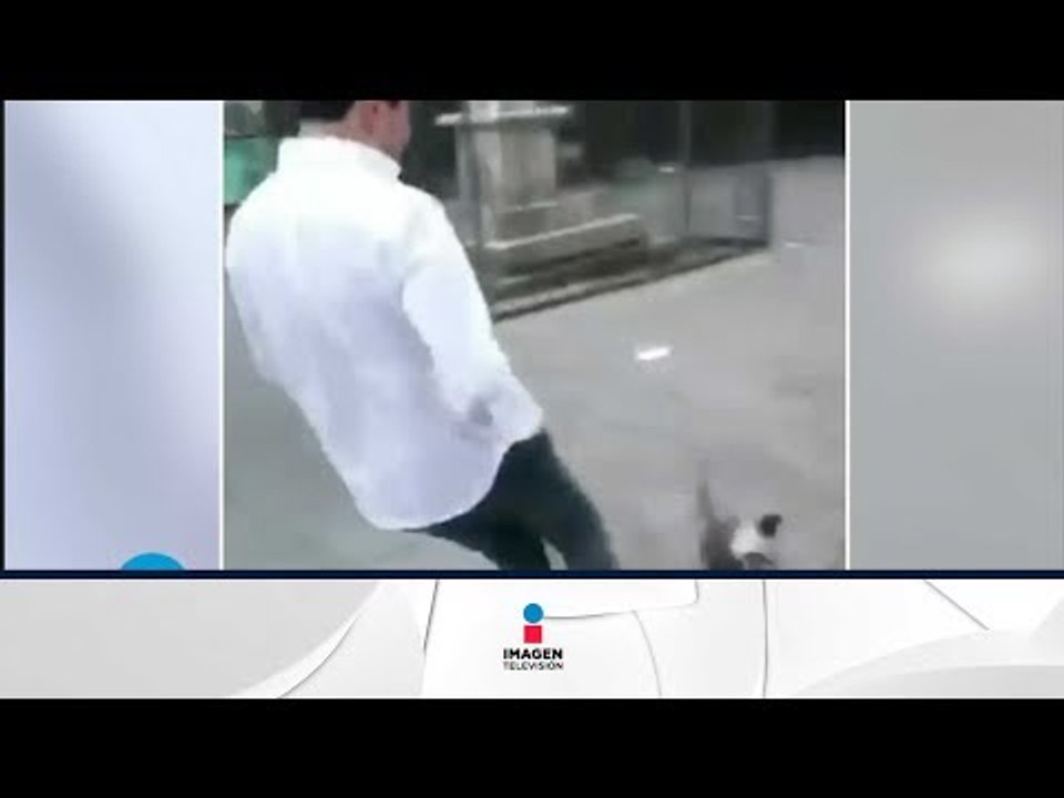 Intentaba patear a una paloma y terminó en el piso  | Qué Importa