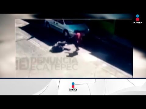 Un perro ataca gravemente a una señora | Noticias con Francisco Zea