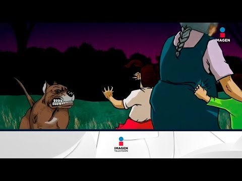 Qué ha pasado después del ataque de perros en Coyoacán | Noticias con Francisco Zea