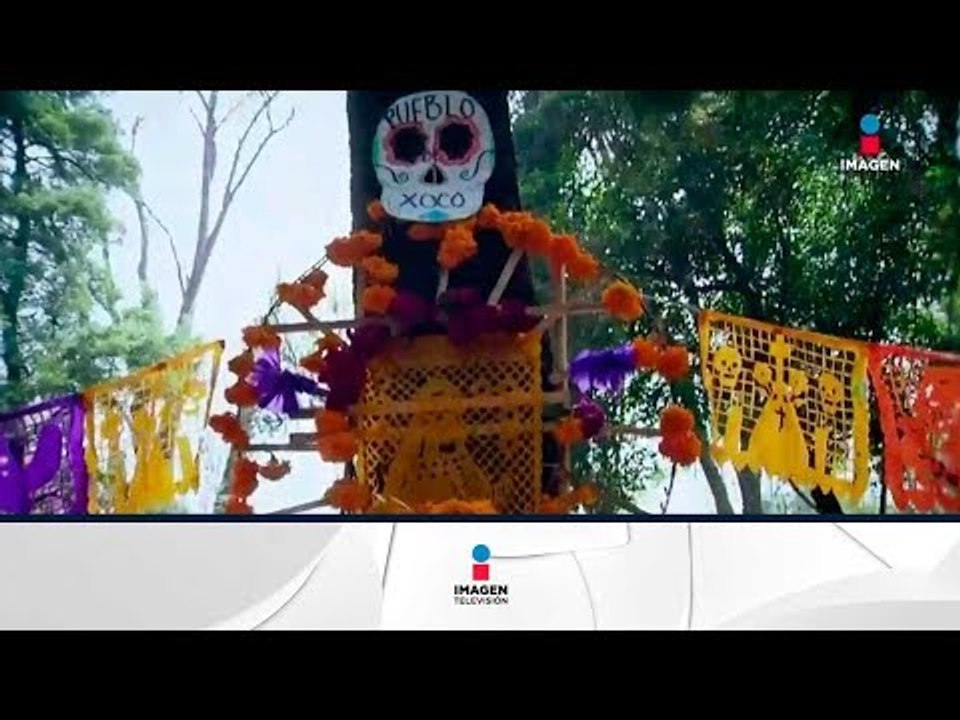 Por estas razones los mexicanos celebramos a la muerte | Noticias con Francisco Zea