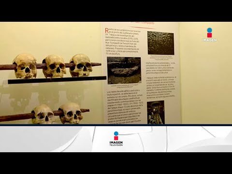 Templo Mayor estrena nueva sala, con restos nunca antes vistos | Noticias con Ciro Gómez Leyva