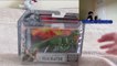 Jurassic World: Fallen Kingdom ~ Toy Reviews! | #1 | Jurassic World - Attack Pack Velociraptor!