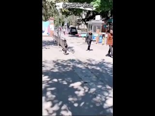 Doğuştan Ön Patileri Gelişmeyen Köpeğin Hayata Direnmesi