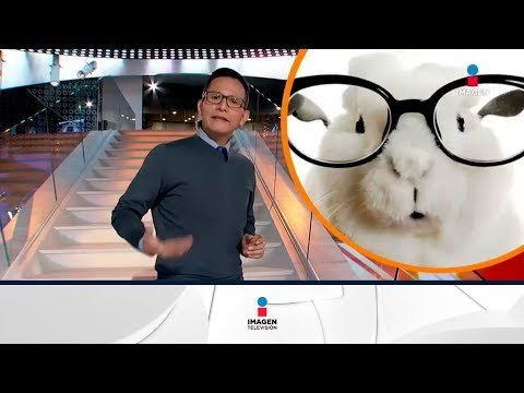 Estos son los remedios caseros más populares | Noticias con Francisco Zea