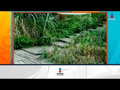 Este hombre se vuelve invisible frente a la cámara con una manta especial | Noticias con Zea