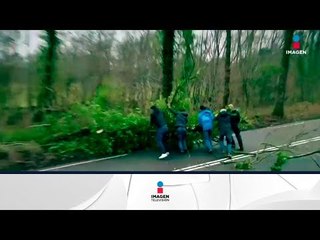 Tormenta "Friederike" azota a Europa | Noticias con Francisco Zea