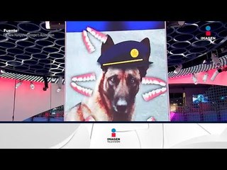 Hombre muerde a perro policía | Noticias con Yuriria Sierra