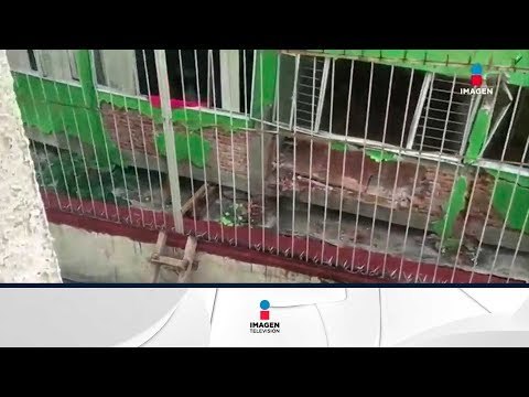 Archivan 93 carpetas de investigación por sismos en la CDMX | Noticias con Yuriria Sierra