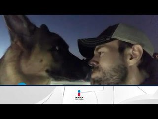 Enrique Iglesias le da besos a su perro con la boca | Qué Importa