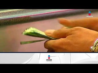 Esto es lo que cuesta la corrupción en México | Noticias con Francisco Zea