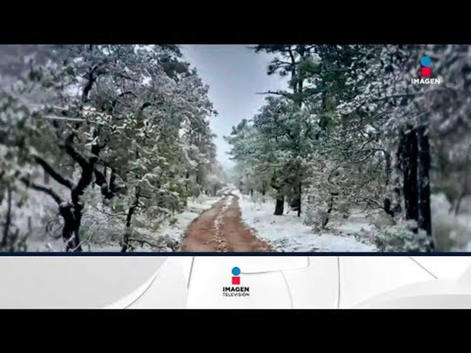 ¡Nieve en Mexico! Por fin empezó a nevar en este país | Noticias con Ciro Gómez Leyva