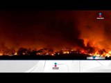 Incendios de California, no lograron rescatar a sus caballos a tiempo | Noticias con Ciro