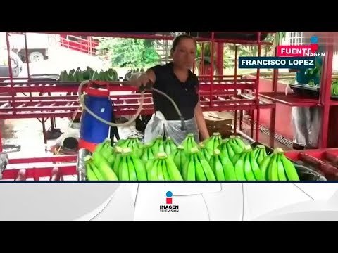 Tabasco reanuda exportación de plátano macho a Estados Unidos | Noticias con Francisco Zea