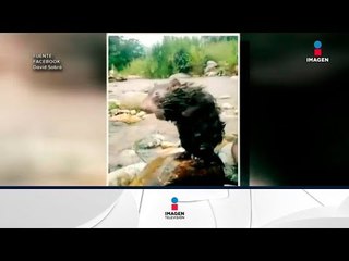 ¡No es una rata, es una pacarana! | Noticias con Francisco Zea