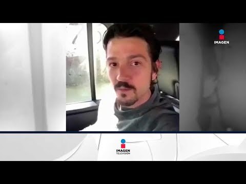 Gael García Bernal y Diego Luna vs el presidente Peña Nieto | Noticias con Ciro Gómez Leyva