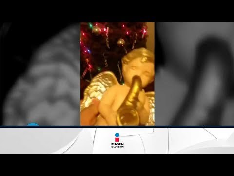 ¡El nuevo PASITO PERRÓN! Pasito Perrón versión 2017 | Qué Importa