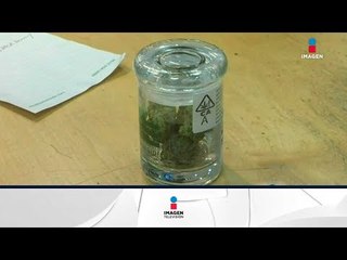 Cambio de gobierno no detendrá el narcotráfico | Noticias con Yuriria Sierra