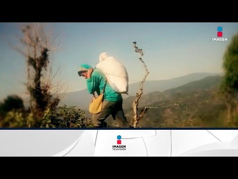 Desplazados de Chiapas tienen un nuevo enemigo ¿los puedes ayudar? | Noticias con Yuriria